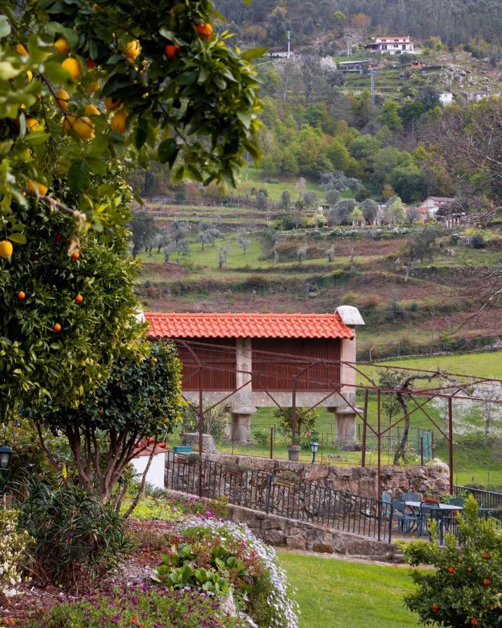 Quinta Do Tapadinho - Wine & Tourism Villa Moimenta Exterior foto
