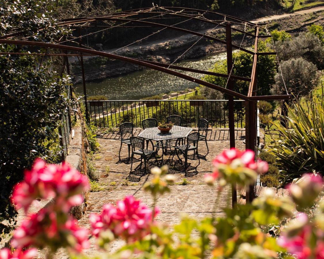 Quinta Do Tapadinho - Wine & Tourism Villa Moimenta Exterior foto