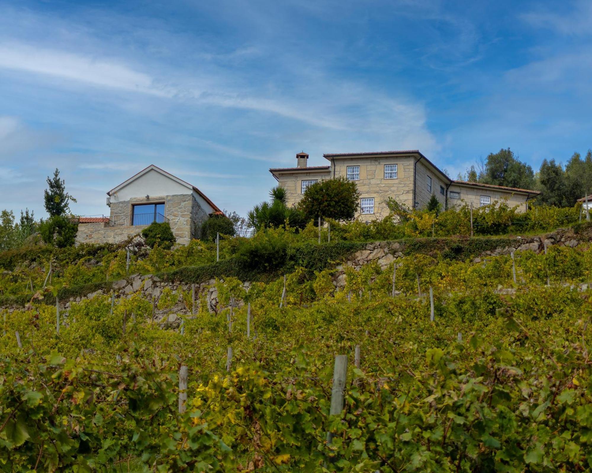 Quinta Do Tapadinho - Wine & Tourism Villa Moimenta Exterior foto